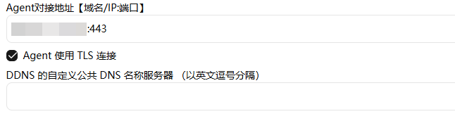 nezha_npm_config.png